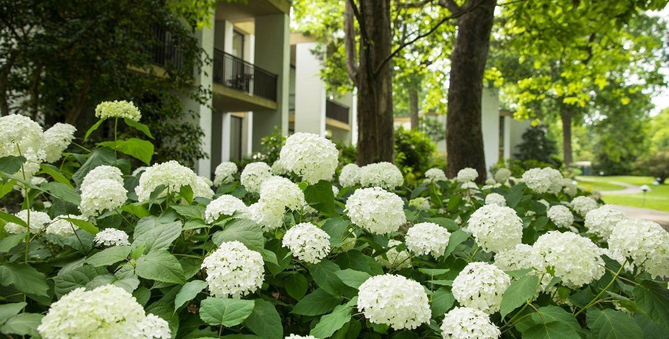 Griffin Hotel, An Official Colonial Williamsburg Hotel Екстер'єр фото